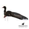 Grauwe gans/kolgans Sillosocks 12 stuks harvester pack