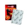 Thermopad bodyverwarming per 10 paar
