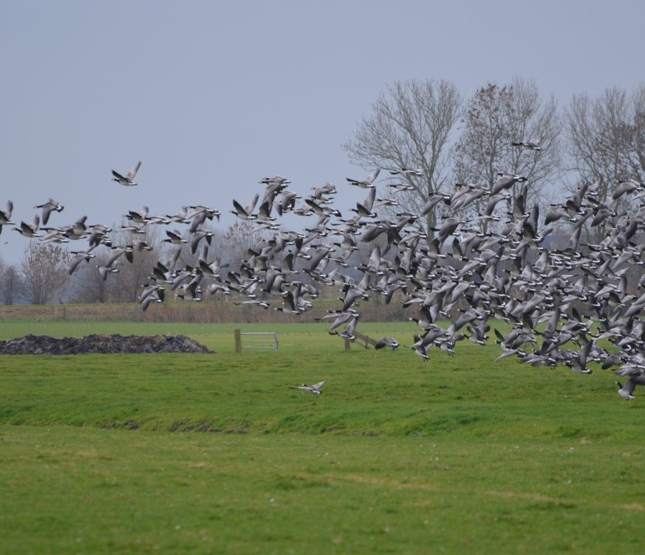 DSC_0126 DSC_0126