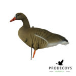 White-fronted goose decoy full body