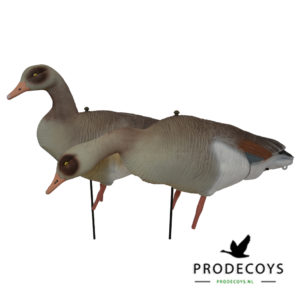 Egyptian goose decoys full body