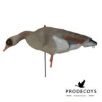 Egyptian goose decoys full body