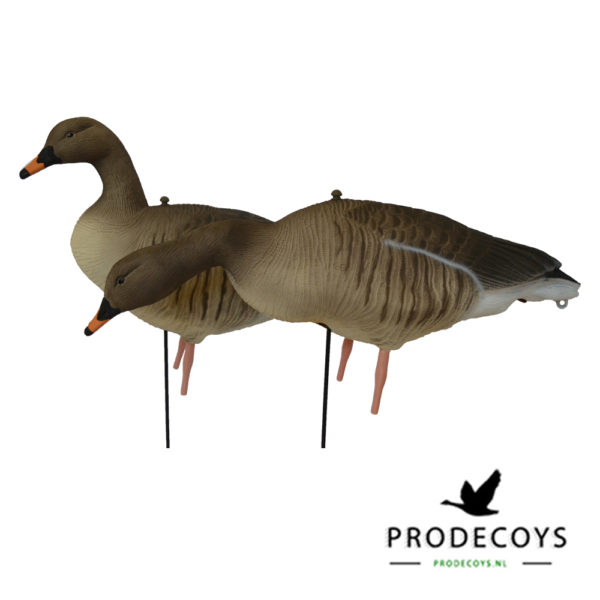 bean goose pink footed goose decoys full body